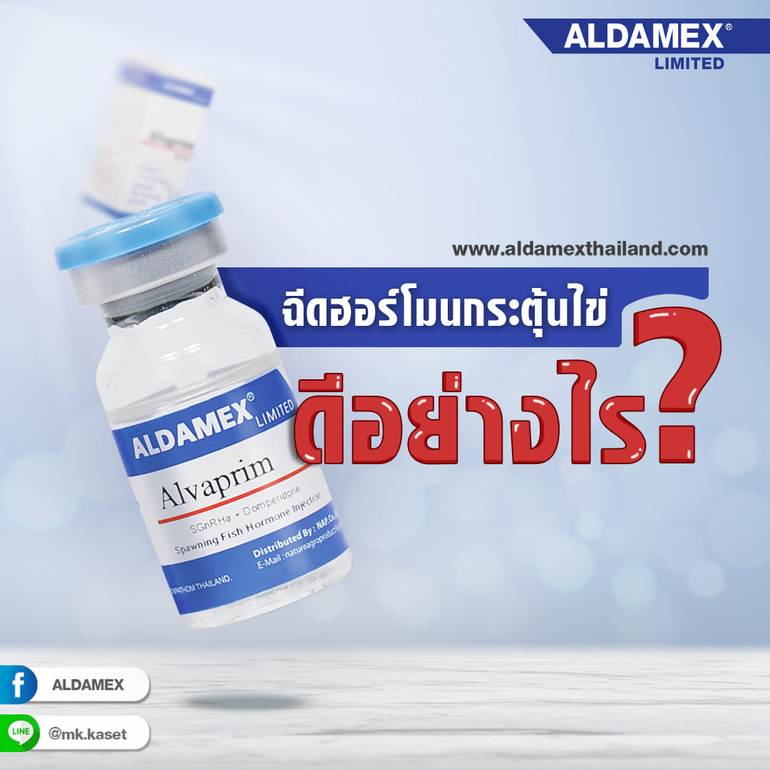 ฉีดฮอร์โมนกระตุ้นไข่ ดีอย่างไร?