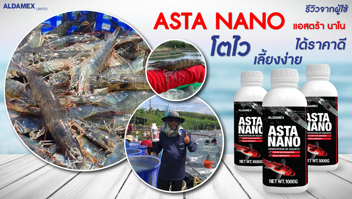 รีวิวสินค้า ASTA NANO